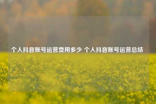 個人抖音賬號運營費用多少 個人抖音賬號運營總結