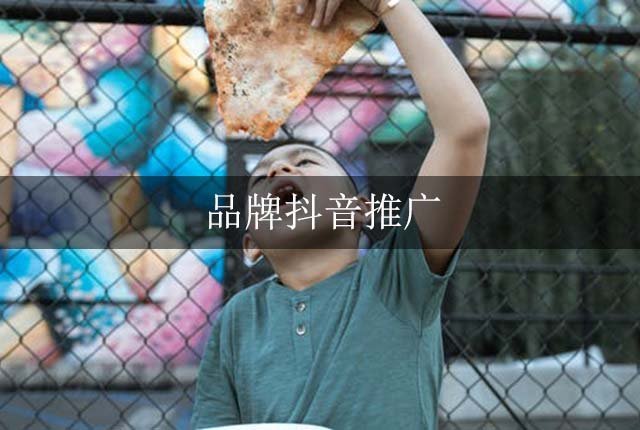 抖音短視頻代運營靈風_抖音企業號代運營怎么樣收費_南京抖音代運營公司