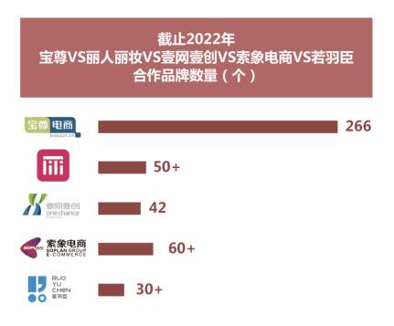 抖音電商運營公司_抖音電商運營公司提成_抖音電商運營公司可靠嗎安全嗎