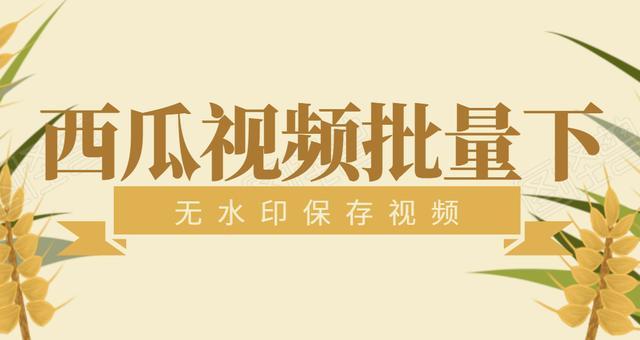 怎么才能下載西瓜視頻呢，所有視頻批量下載方法