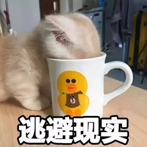 怎么樣運(yùn)營好一個抖音賬號_抖音賬號運(yùn)營需要掌握的東西_抖音運(yùn)營號收費(fèi)標(biāo)準(zhǔn)