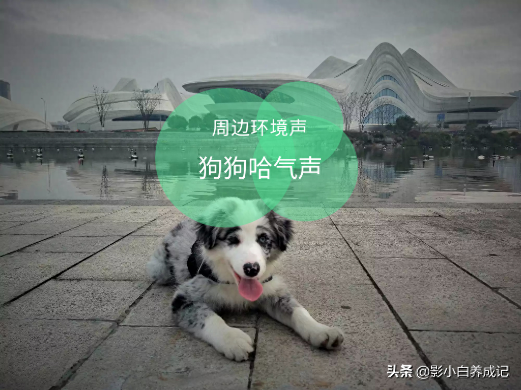 視頻剪輯剪掉一部分畫面_如何剪掉視頻畫面中不要的部分_剪掉視頻畫面的一部分