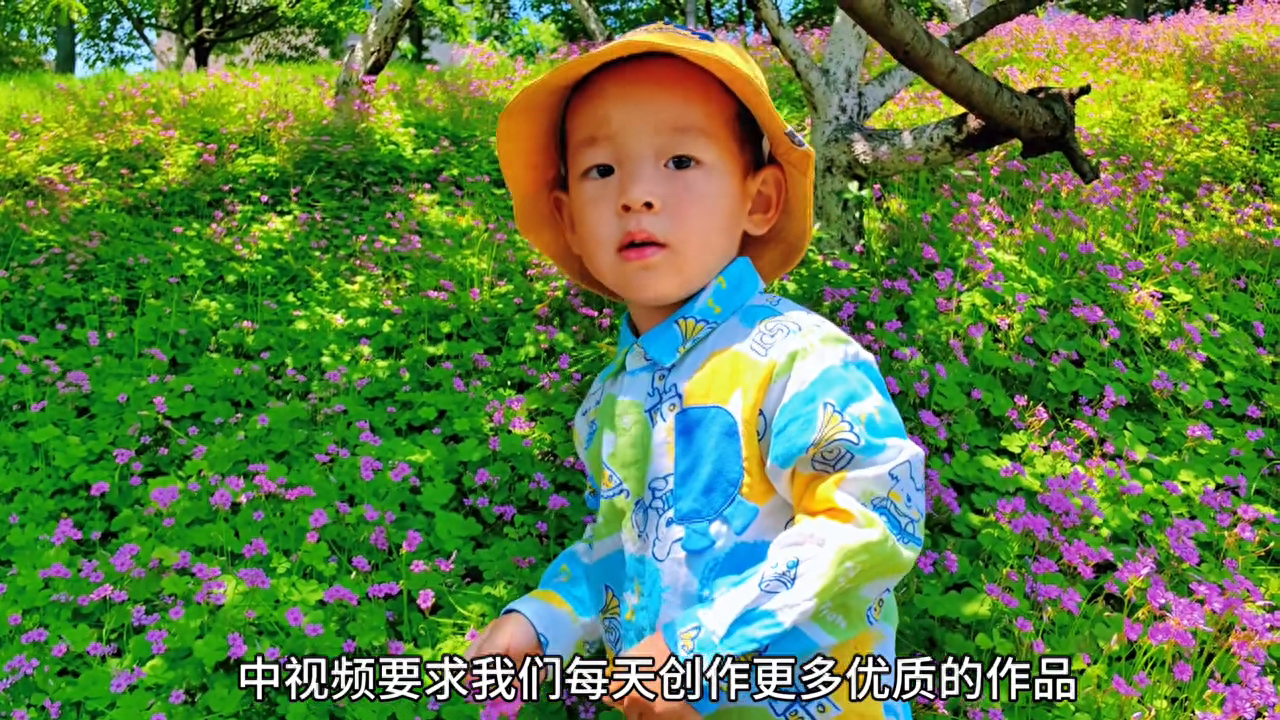 如何拍出清晰而又美觀的視頻畫面