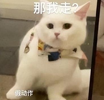 終于找到了！讓英語視頻瞬間變中文的神器！