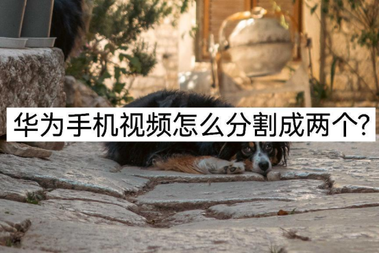 華為手機視頻怎么分割成兩個？看完你就懂了